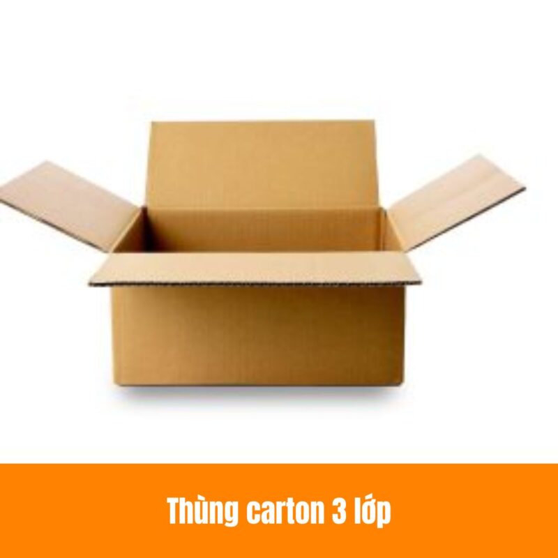 thung-carton-3-lop-1