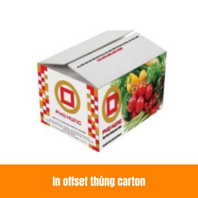 In offset thùng carton