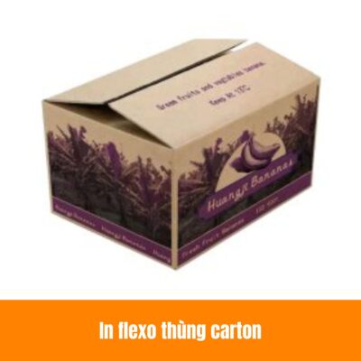 In flexo thùng carton