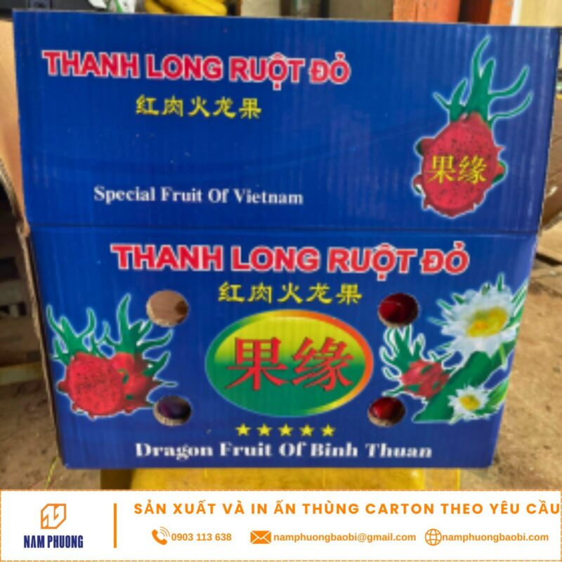 dragon-fruit-packaging-boxes-export-cheapest-manufactory