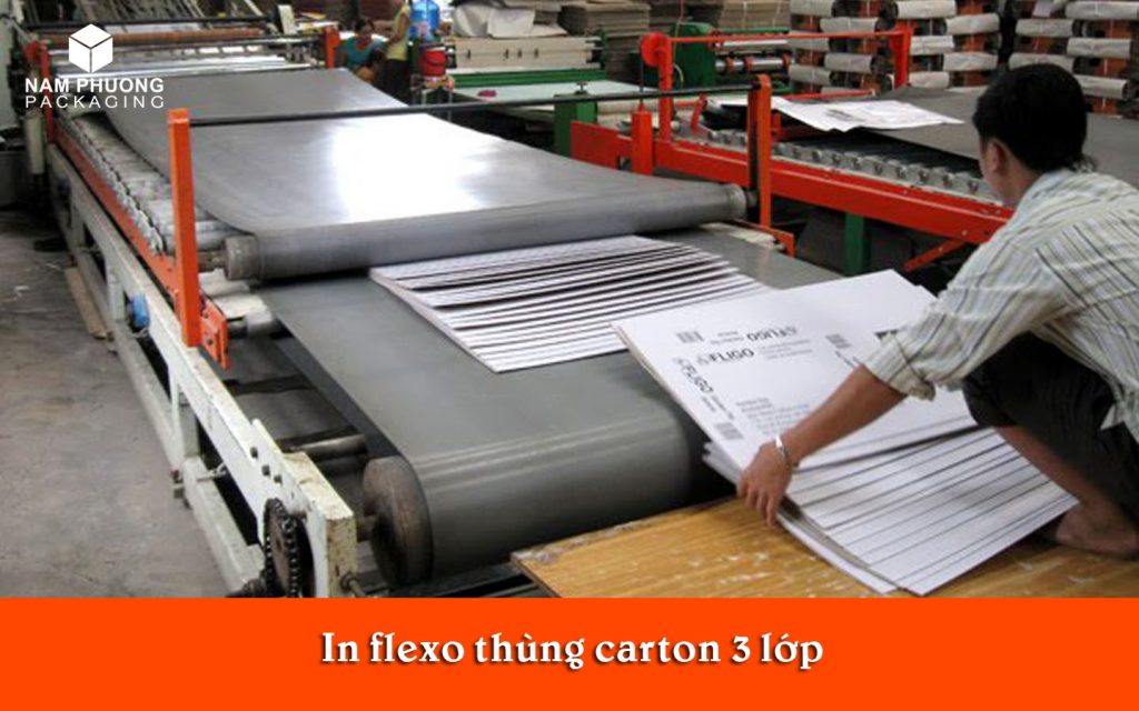 in flexo thung carton 3 lop