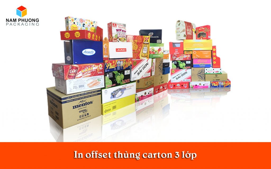 in offset thung carton 3 lop