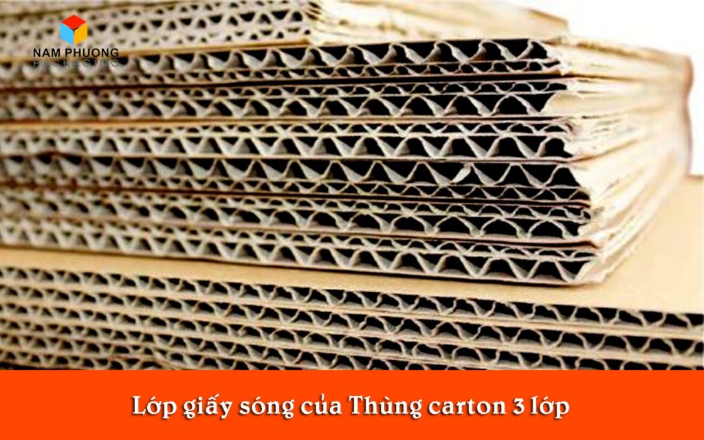 lop giay song thung carton 3 lop