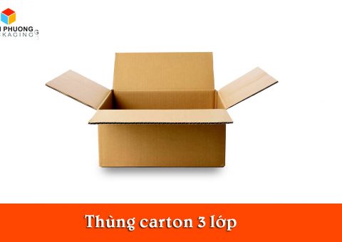 thung-carton-3-lop-1