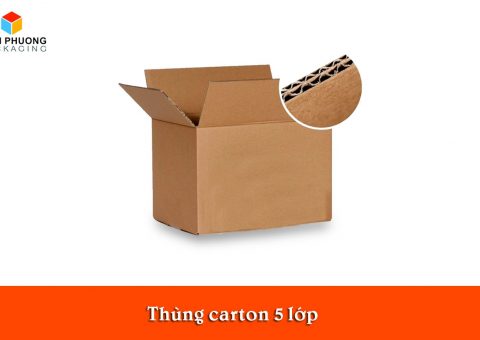 thung carton 5 lop tphcm