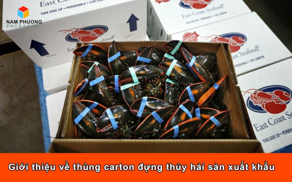 Giới thiệu về thùng carton đựng thủy hải sản xuất khẩu