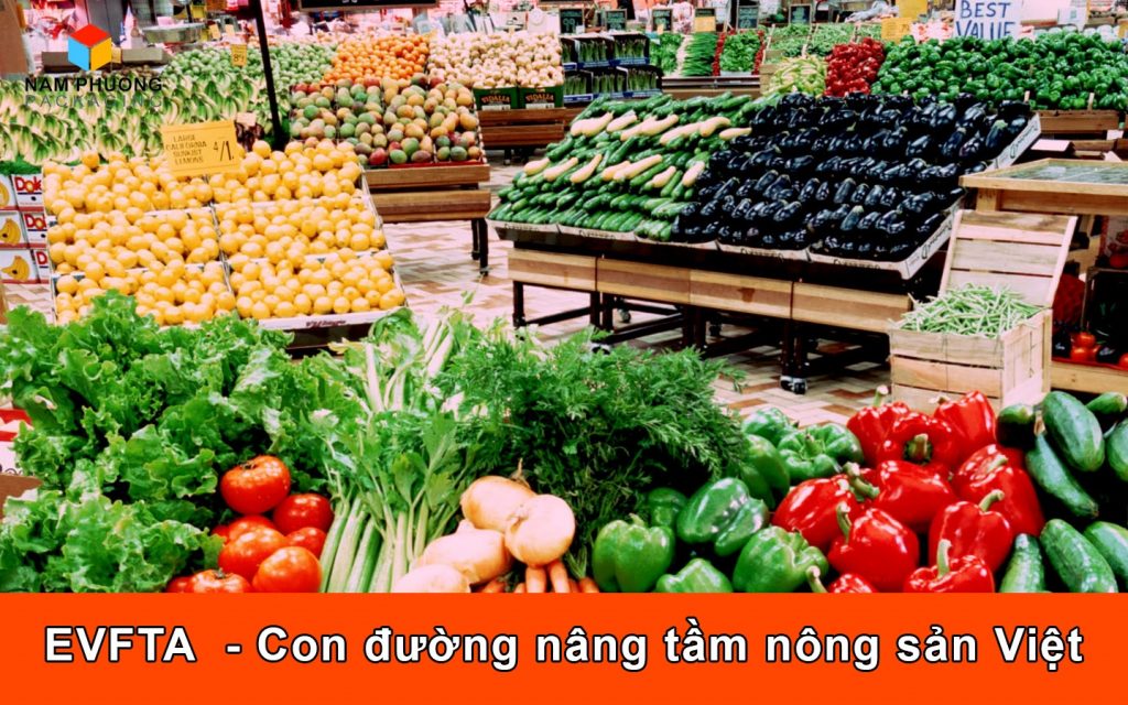 EVFTA  - Con đường nâng tầm nông sản Việt