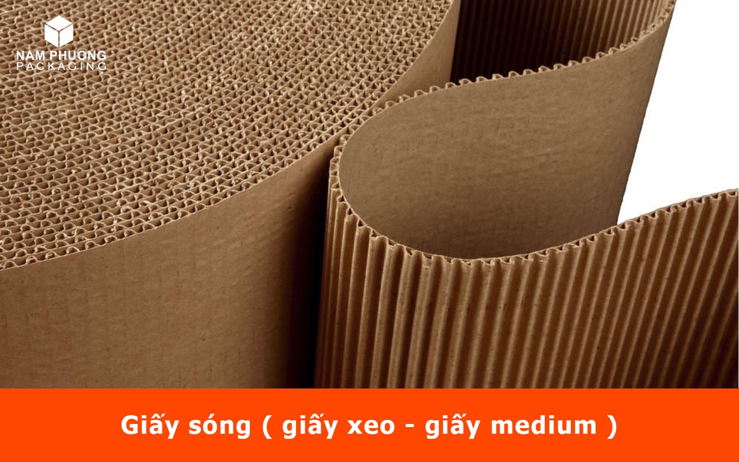 Giấy Tấm Carton