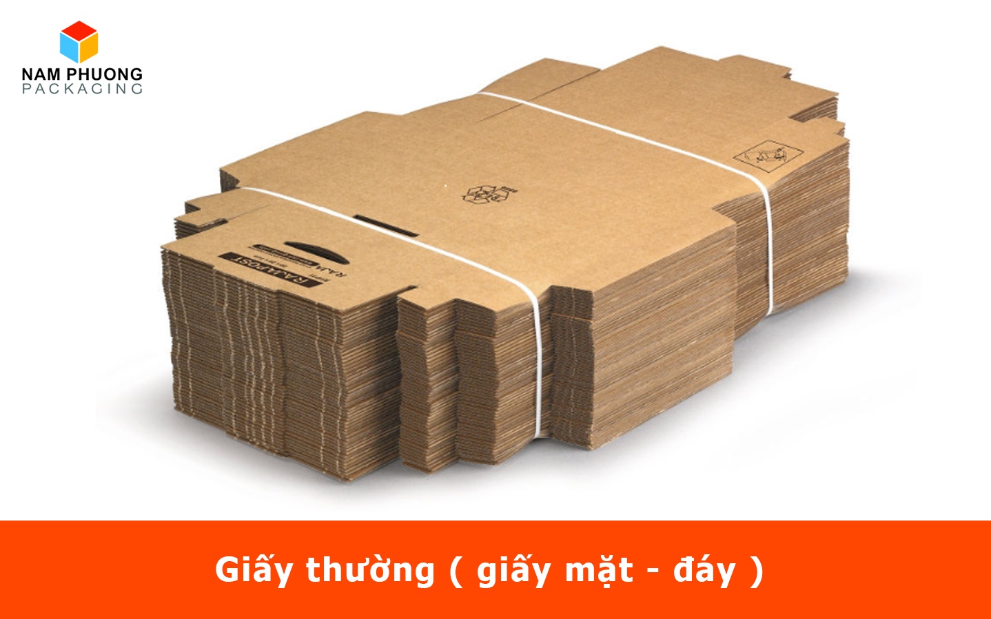 Giấy thường ( giấy mặt - đáy ) 