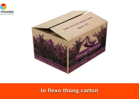 In flexo thùng carton