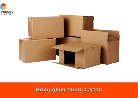 Đóng ghim thùng carton