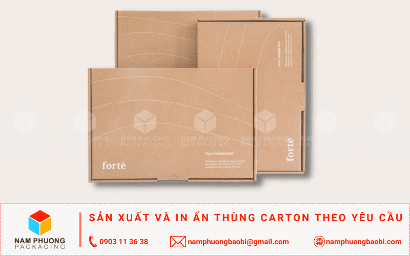 bao bì giấy hộp carton nắp gài
