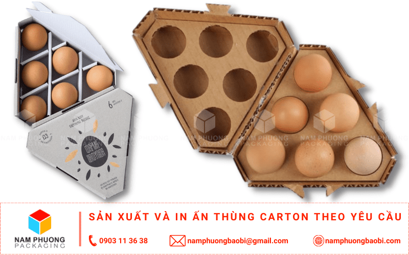 sản xuất khay đựng trứng