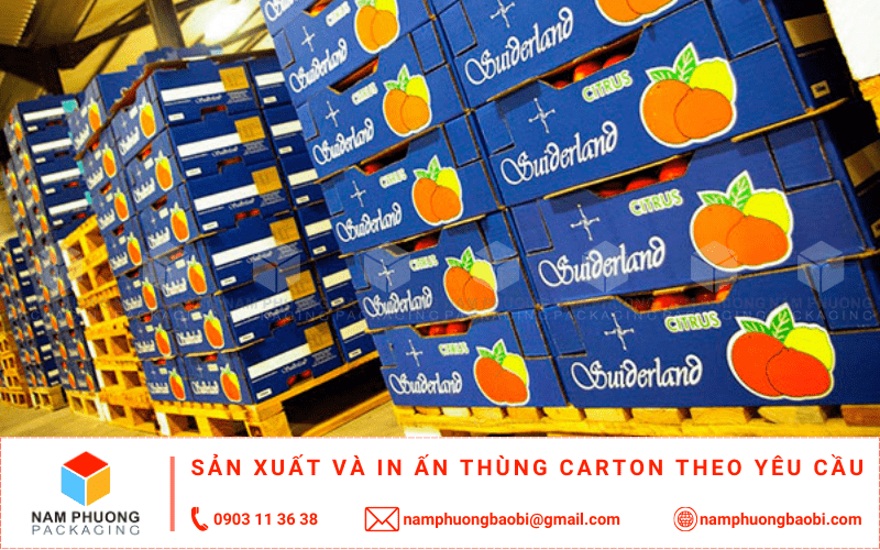 mua thùng carton đựng cam xuất khẩu giá rẻ gần tôi tphcm
