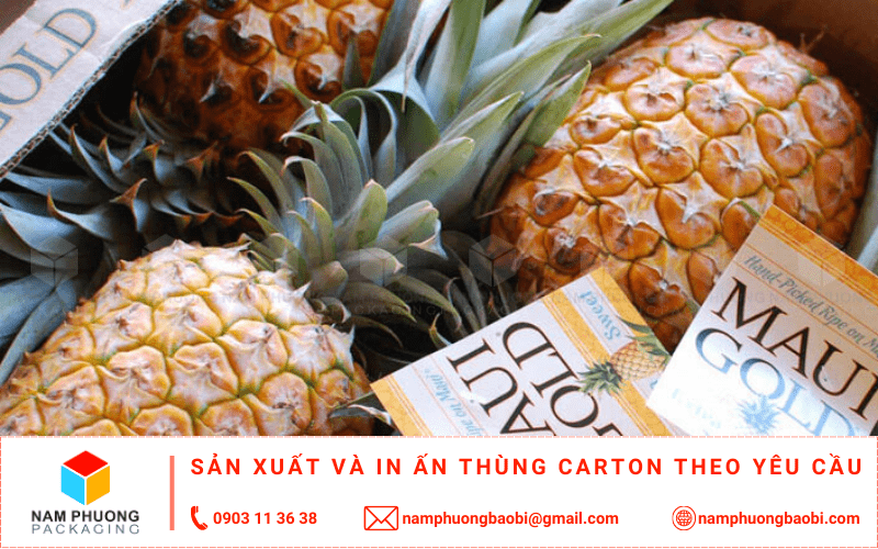 làm thùng carton đựng dứa giá rẻ ở đâu tphcm