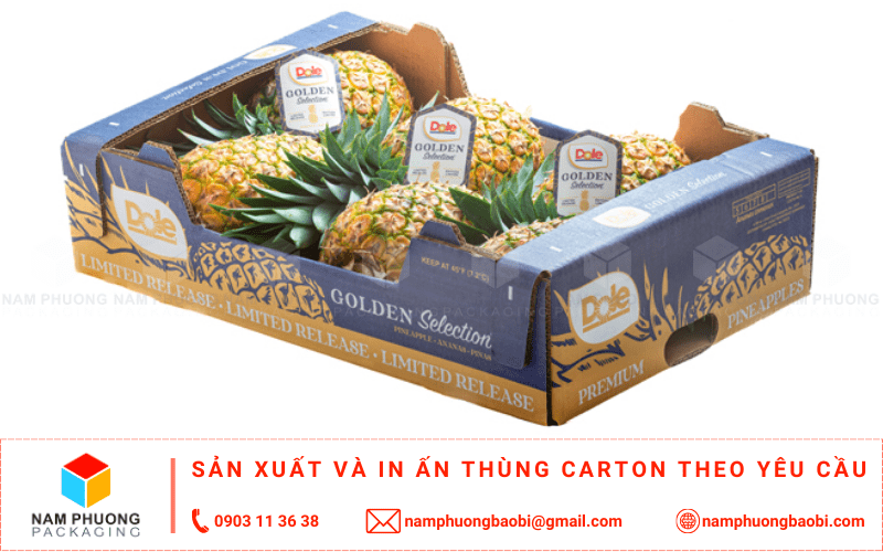 làm thùng carton đựng dứa giá rẻ ở đâu tphcm