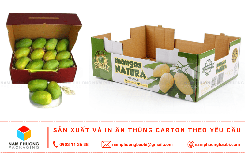 san xuất thùng carton đựng xoài giá rẻ ở đâu