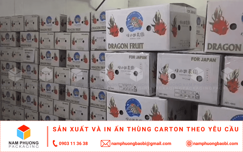 làm thùng carton đựng thanh long xuất khẩu giá rẻ có ngay tại tphcm