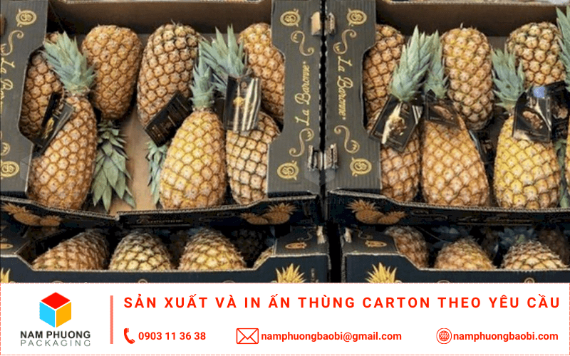 làm thùng carton đựng dứa giá rẻ ở đâu tphcm