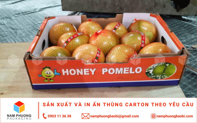 mua thùng đựng bưởi xuất khẩu giá rẻ với kích thước theo yêu cầu