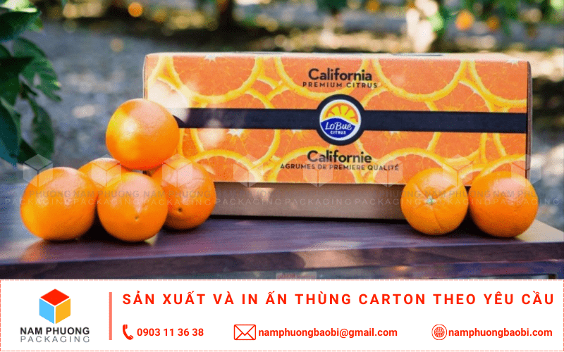 mua thùng carton đựng cam xuất khẩu giá rẻ gần tôi tphcm