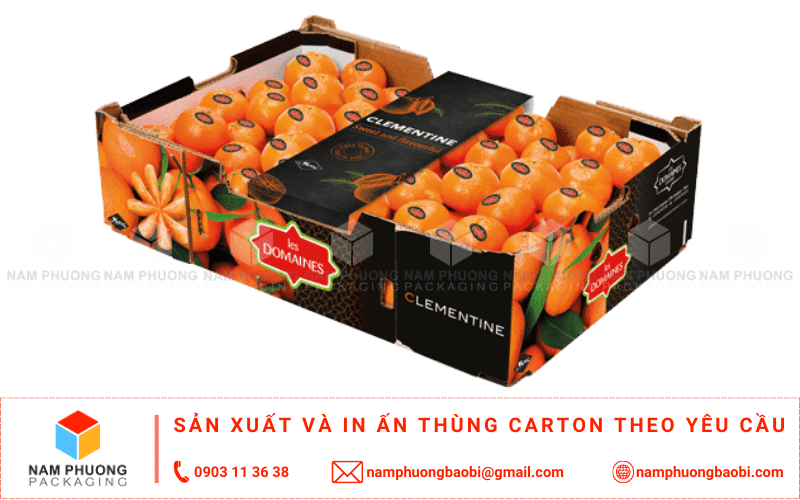 mua thùng carton đựng cam xuất khẩu giá rẻ gần tôi tphcm