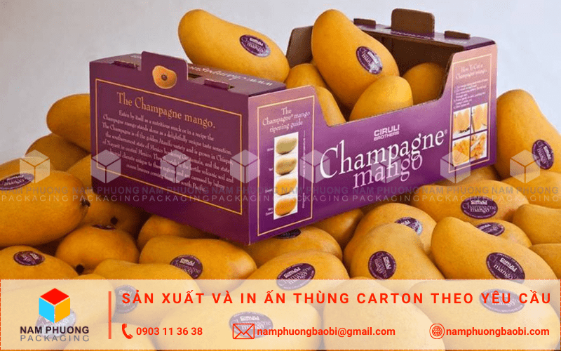 san xuất thùng carton đựng xoài giá rẻ ở đâu