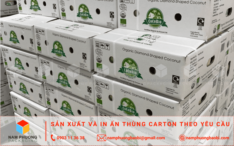 mua thùng đựng dừa xuất khẩu giá rẻ ở đâu