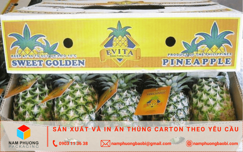 làm thùng carton đựng dứa giá rẻ ở đâu tphcm