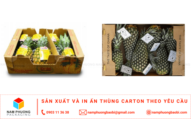 làm thùng carton đựng dứa giá rẻ ở đâu tphcm