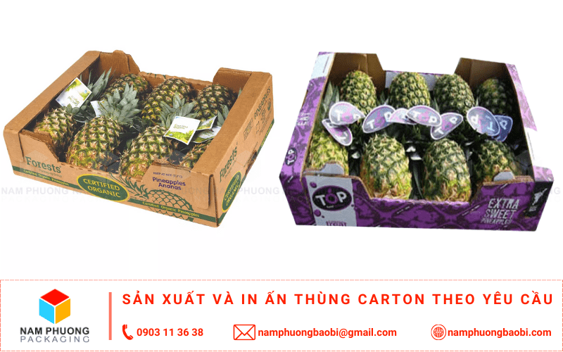 làm thùng carton đựng dứa giá rẻ ở đâu tphcm