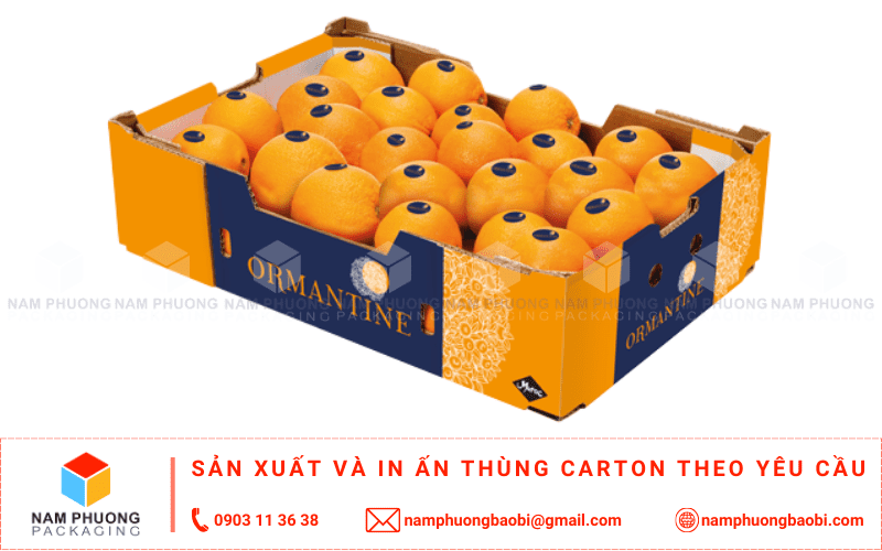 mua thùng carton đựng cam xuất khẩu giá rẻ gần tôi tphcm