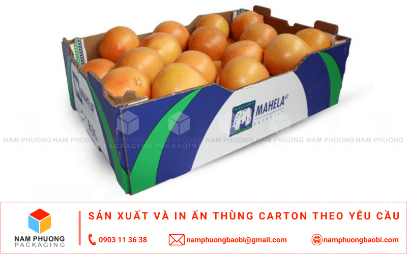 mua thùng đựng bưởi xuất khẩu giá rẻ với kích thước theo yêu cầu