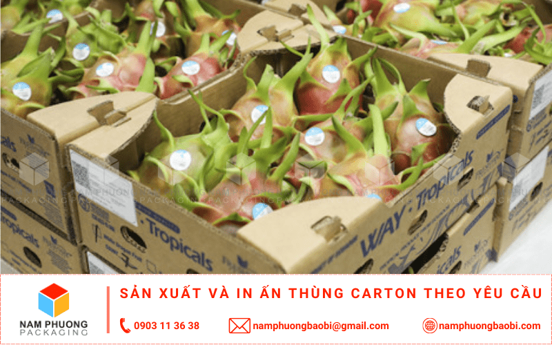 làm thùng carton đựng thanh long xuất khẩu giá rẻ có ngay tại tphcm