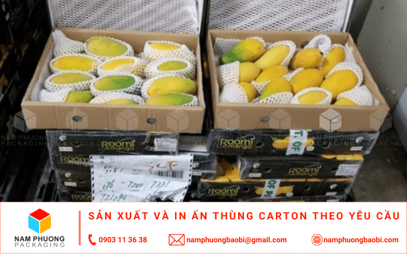 san xuất thùng carton đựng xoài giá rẻ ở đâu