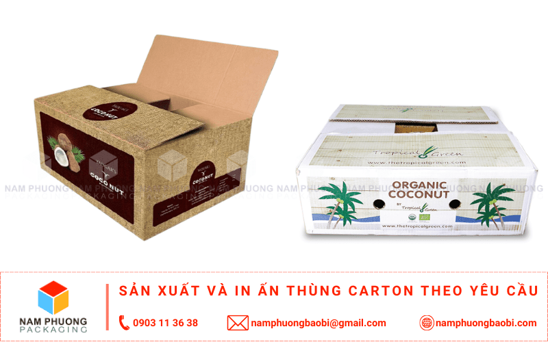 mua thùng đựng dừa xuất khẩu giá rẻ ở đâu
