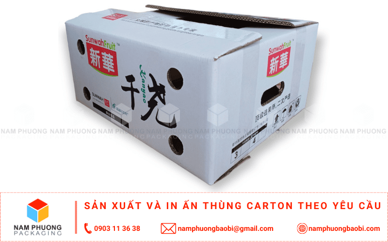 xưởng in thùng carton đựng sầu riêng xuất khẩu giá rẻ ở đầu