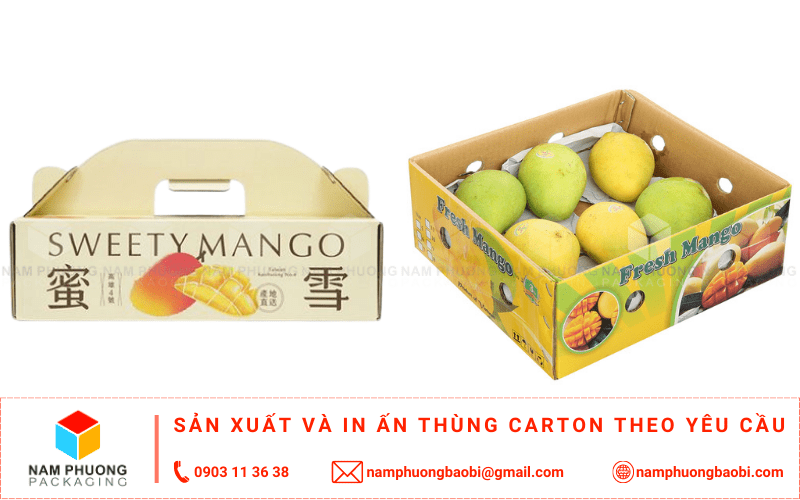 sản xuất thùng carton đựng xoài giá rẻ ở đâu