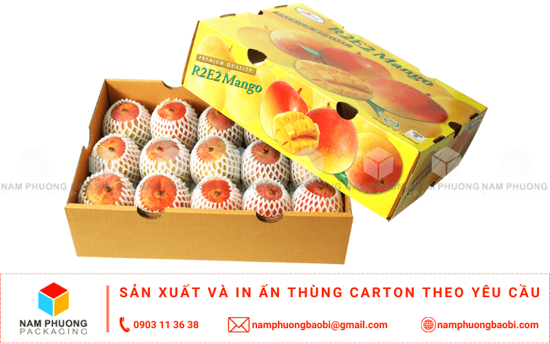 sản xuất thùng carton đựng xoài giá rẻ ở đâu