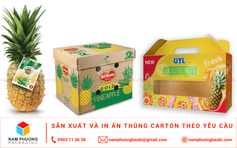 làm thùng carton đựng dứa giá rẻ ở đâu tphcm