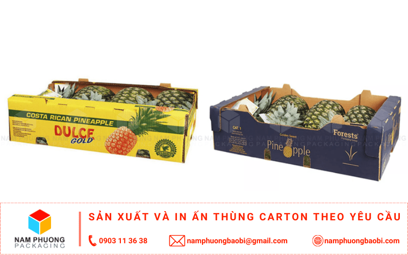 làm thùng carton đựng dứa giá rẻ ở đâu tphcm