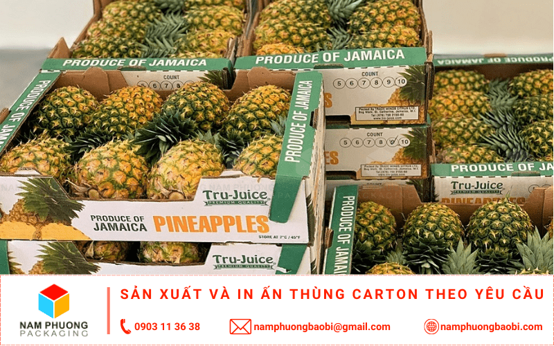 làm thùng carton đựng dứa giá rẻ ở đâu tphcm