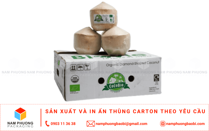 mua thùng đựng dừa xuất khẩu giá rẻ ở đâu