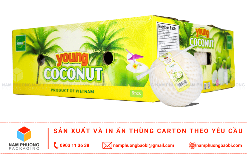 mua thùng đựng dừa xuất khẩu giá rẻ ở đâu