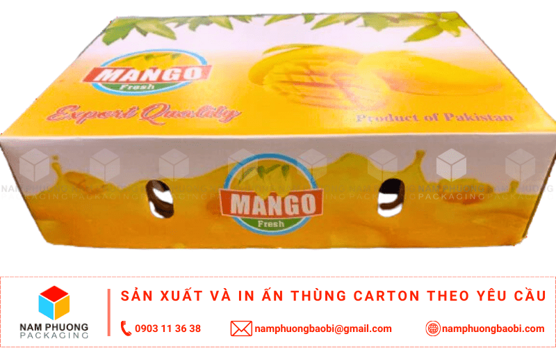 sản xuất thùng carton đựng xoài giá rẻ ở đâu