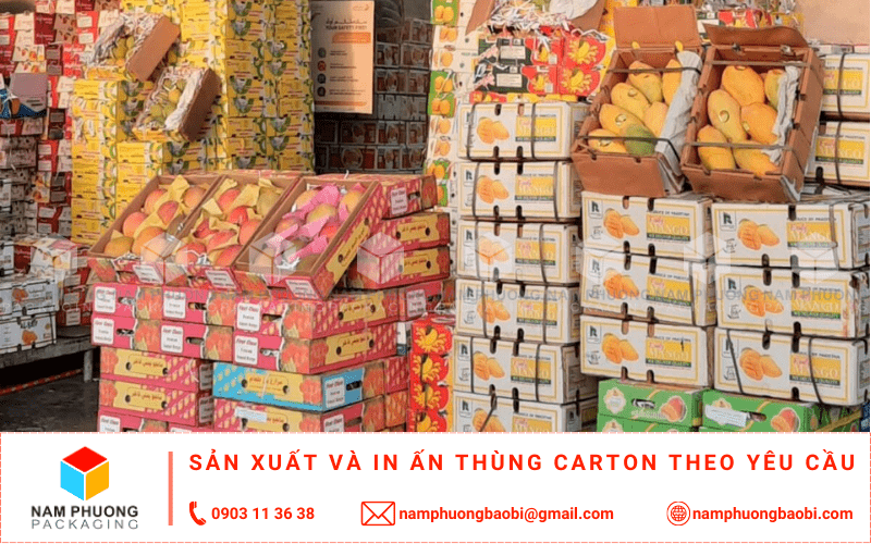 sản xuất thùng carton đựng xoài giá rẻ ở đâu