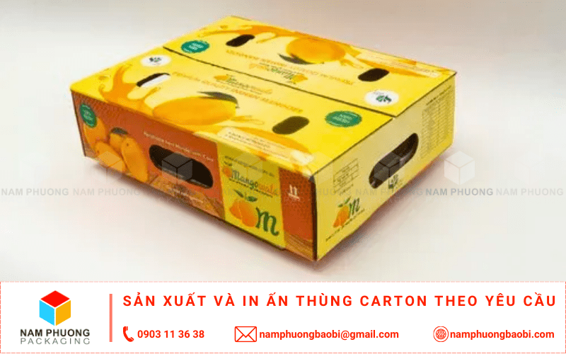 sản xuất thùng carton đựng xoài giá rẻ ở đâu