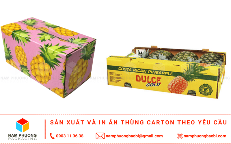 làm thùng carton đựng dứa giá rẻ ở đâu tphcm