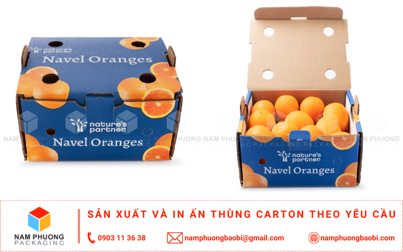 mua thùng carton đựng cam xuất khẩu giá rẻ gần tôi tphcm