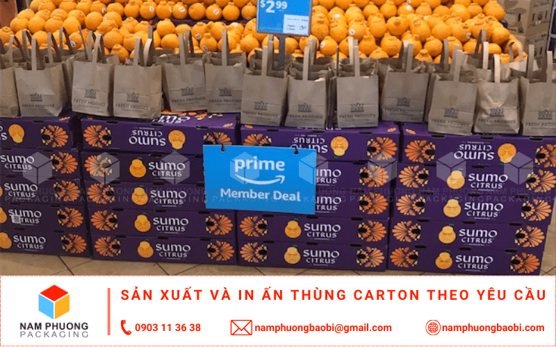 mua thùng carton đựng cam xuất khẩu giá rẻ gần tôi tphcm